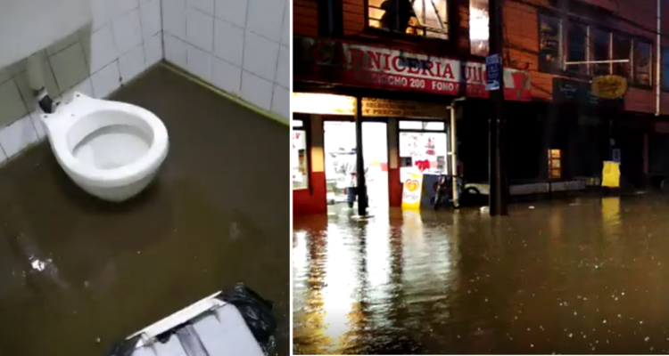 Capturas de videos | @GastonCarcamovi | Twitter | Luis Contreras | RBB