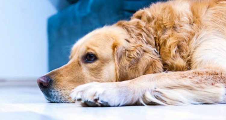 CONTEXTO | Tookapic (CC0)
