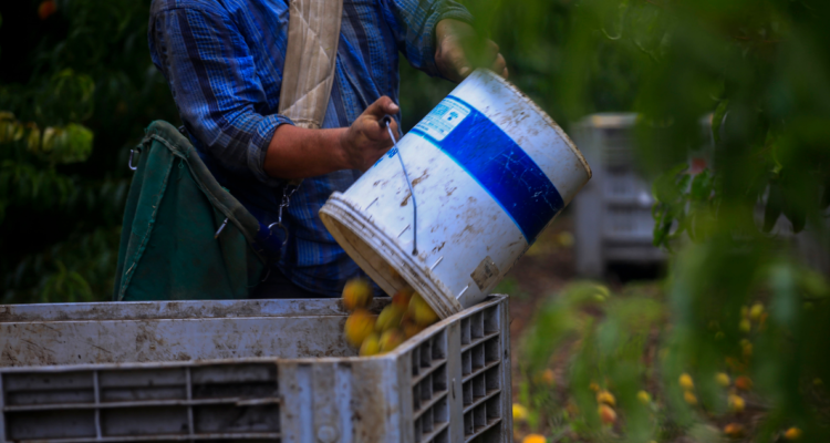 CONTEXTO | Agencia UNO