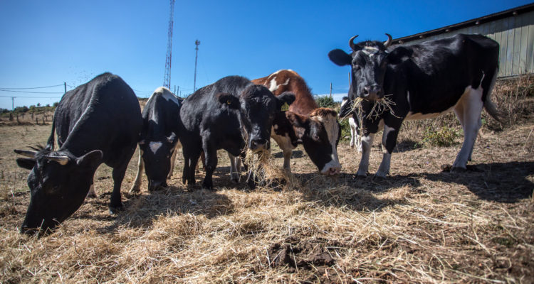 CONTEXTO | Agencia UNO