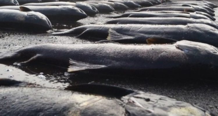 CONTEXTO | Agencia UNO