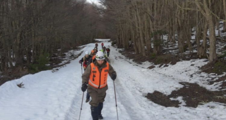 Búsqueda-guadalupe-magallanes