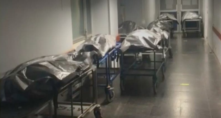 Imagen referencial | Wikimedia Commons