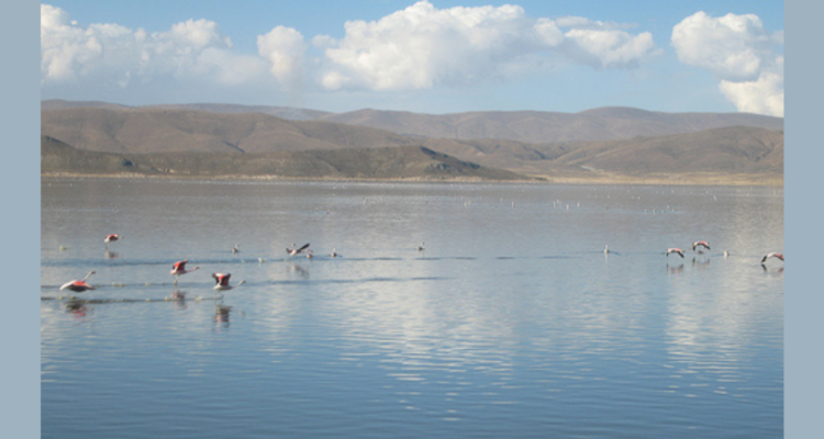 Lagoo Poopó en 2010 | Wikimedia Commons