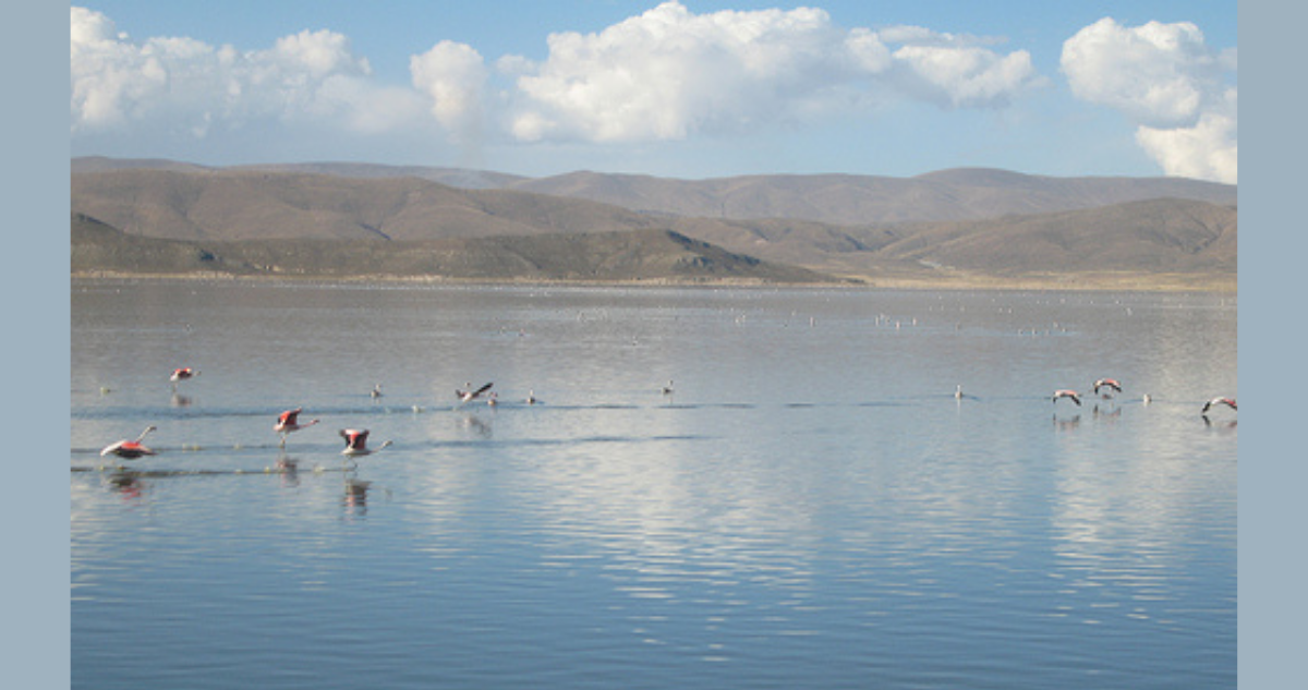 Lagoo Poopó en 2010 | Wikimedia Commons