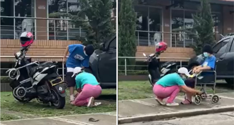 Capturas