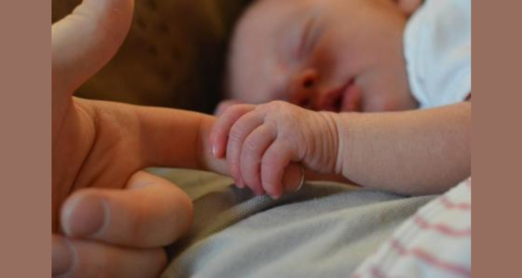 Imagen referencial | Pixabay (CCO)