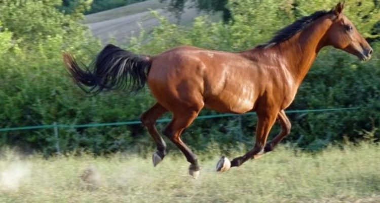 CONTEXTO | Max Pixel
