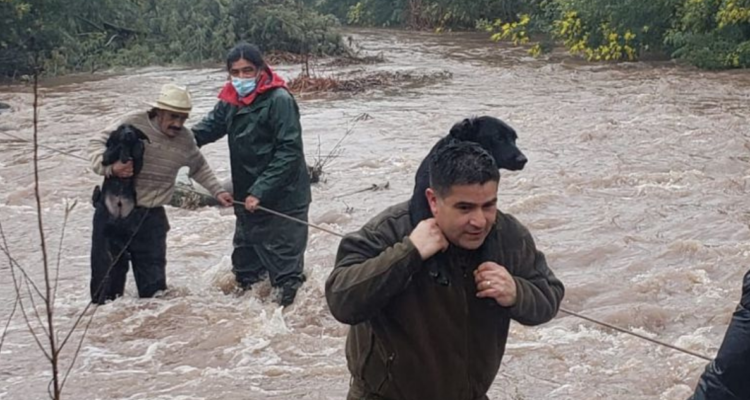 Carabineros de Chile