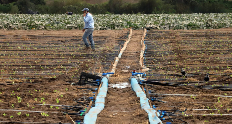 Sócrates Orellana | Agencia UNO