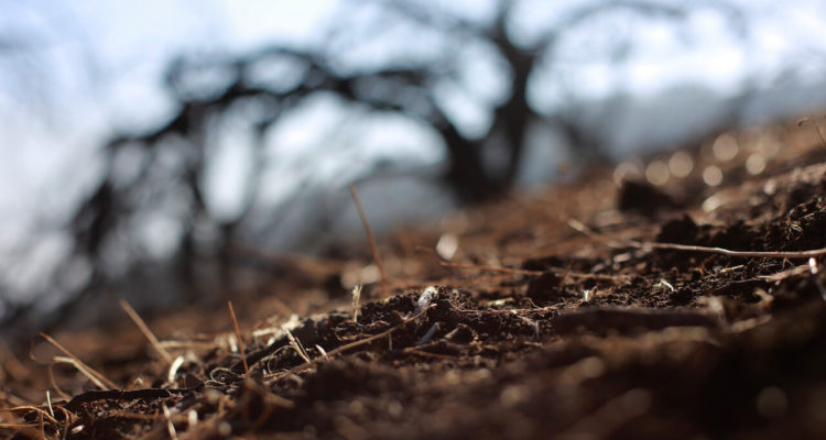 CONTEXTO | Agencia UNO