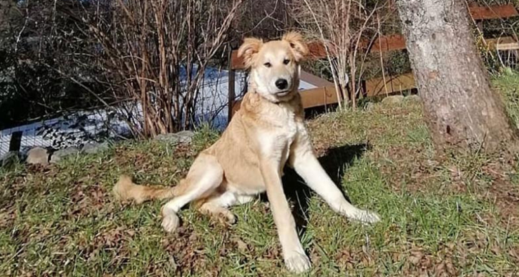 @dondeestaleon | Instagram