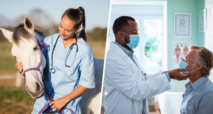 Administración de Alimentos y Medicamentos (FDA)