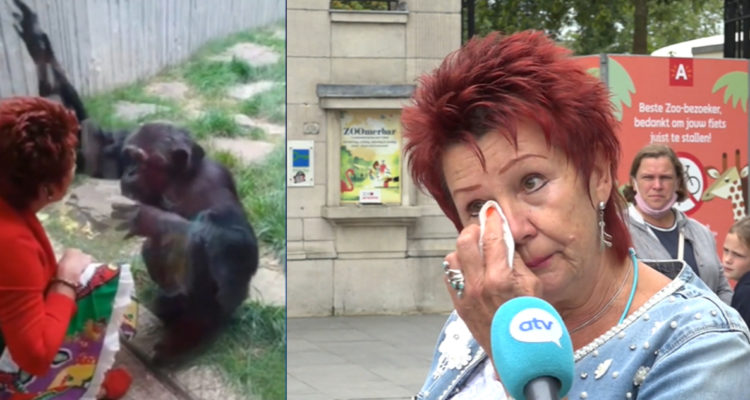 Captura de pantalla | ATV