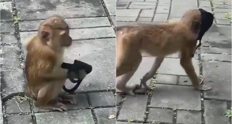 Captura de video | Twitter