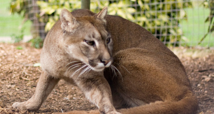 contexto | Rob | Flickr 