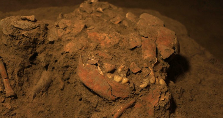 Universidad de Hasanuddin