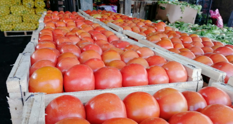 Eduardo Palacios | RBB