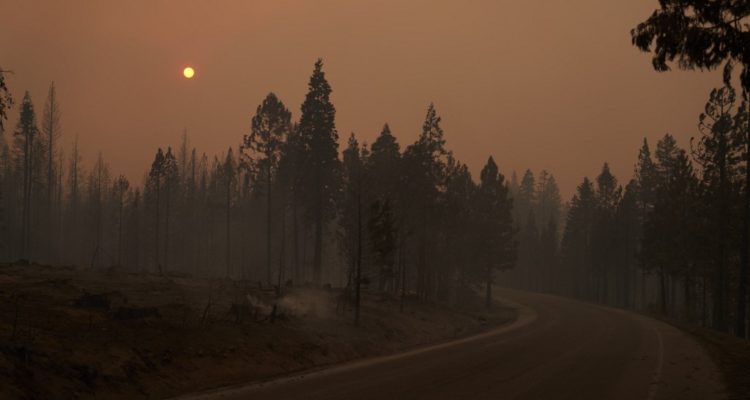 Allison Dinner | Getty Images | Agence France-Presse