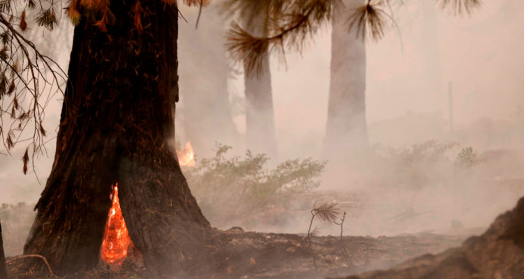 EFE | John G. Mabanglo | Archivo