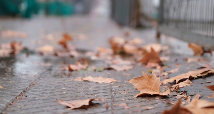 Daniel Araya | Agencia UNO