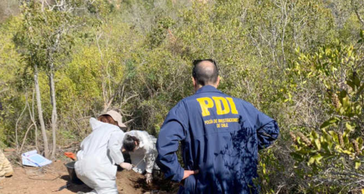 Contexto / Diario el Día