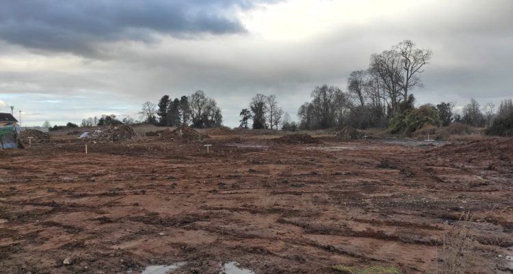 ARCHIVO | @KarlitaMapu | Twitter