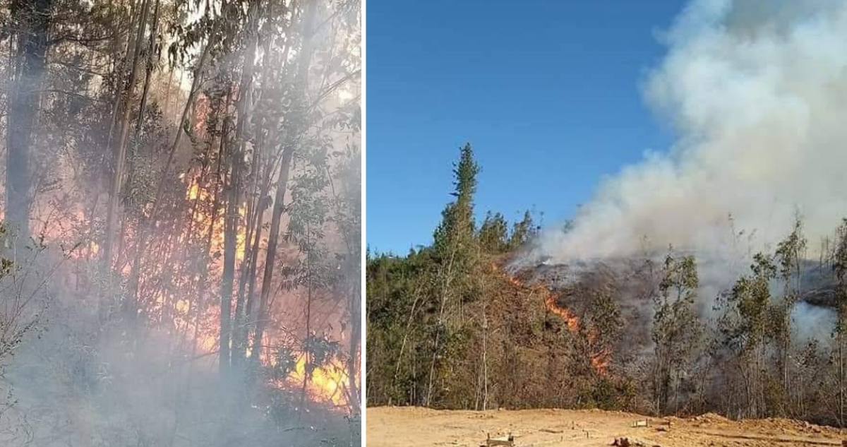 incendio-forestal-santa-juana-sector-la-generala-2.png