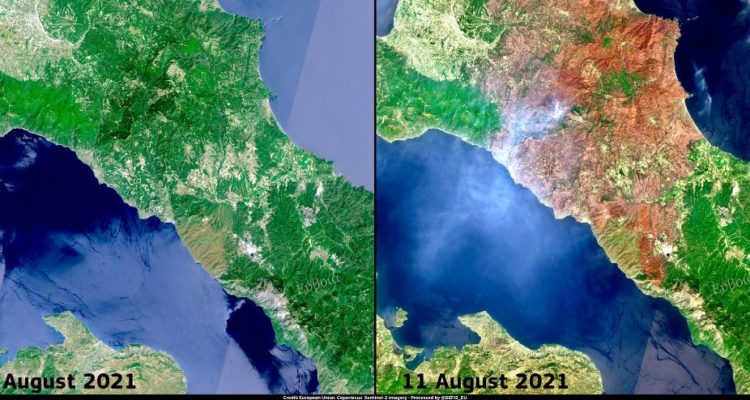Imágenes satelitales muestran la diferencia del terreno de la isla de Eubea entre el 1 y 12 de agosto. 
Copernicus Sentinel-2 | Agence France-Presse