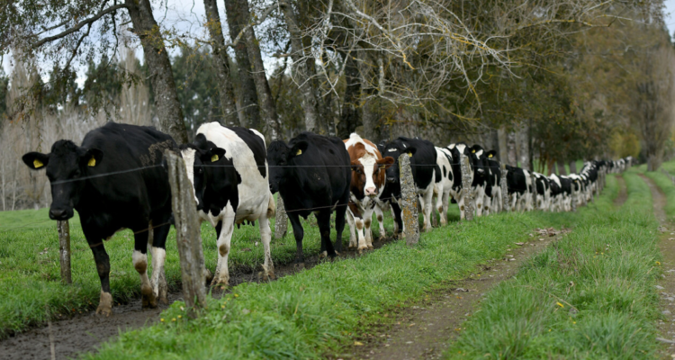 Contexto | Agencia UNO