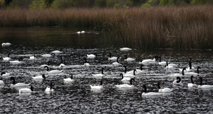 ARCHIVO | Agencia UNO