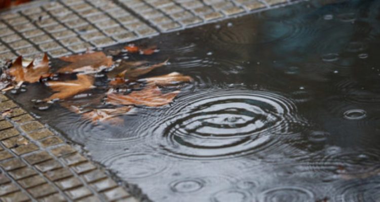 ARCHIVO | Agencia UNO
