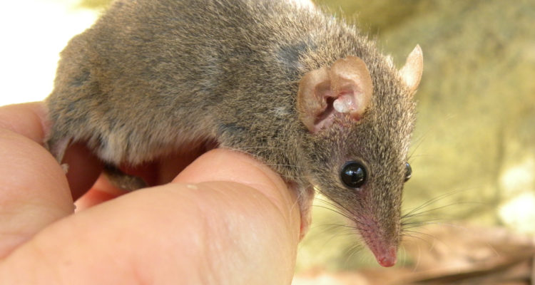 Alan Couch | Flickr (CC)