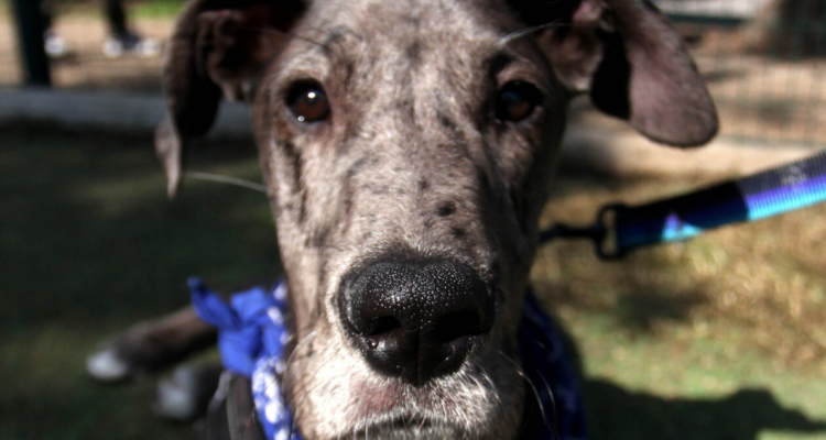 Contexto | Agencia UNO