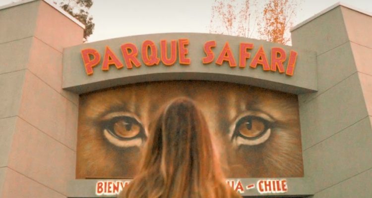 parquesafari.cl