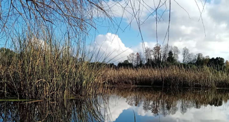 @jaimegro4 | Twitter