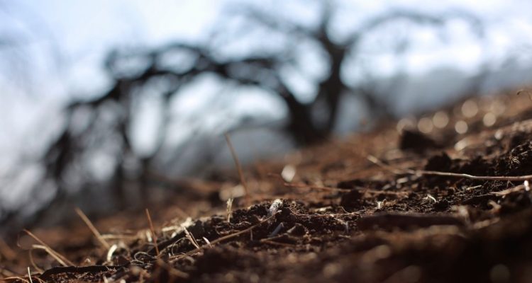 CONTEXTO | Agencia UNO