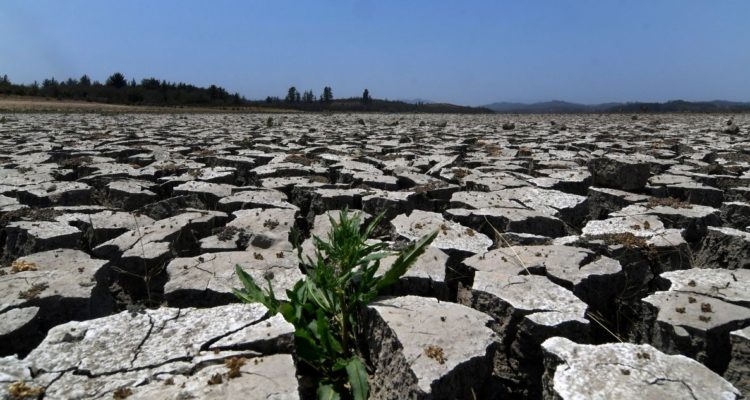 ARCHIVO | Agencia UNO