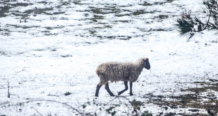 Contexto | Agencia UNO