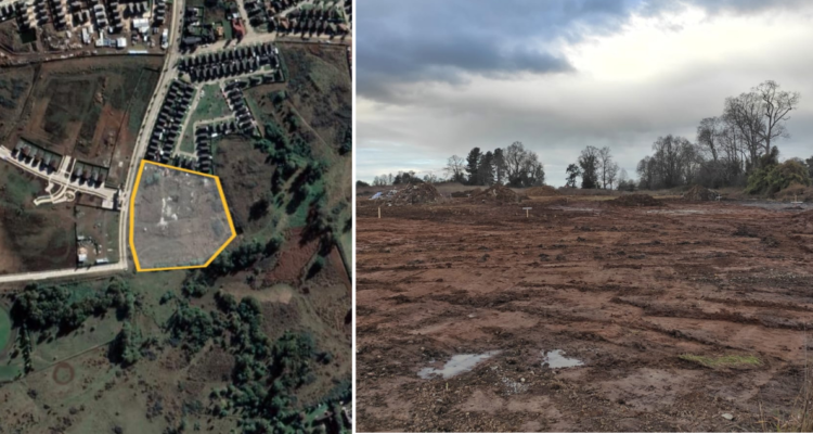 Cedidas a RBB | Edición BBCL