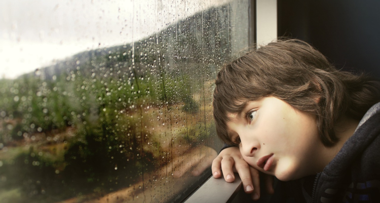 Shlomaster | Pixabay