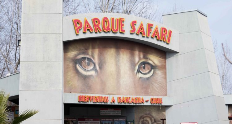 ARCHIVO | Agencia UNO