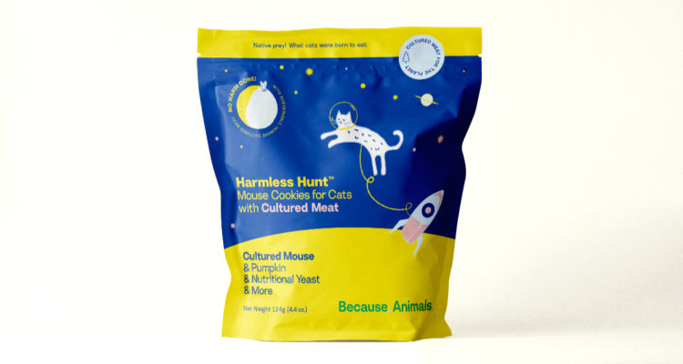 Galletas de carne cultivada para Gatos | Because, Animals.