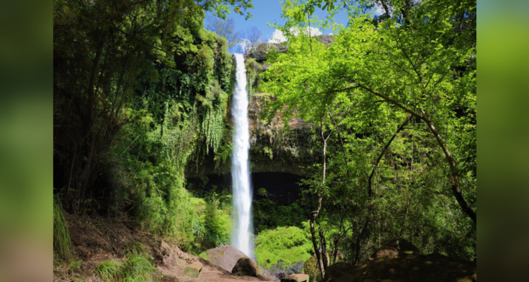 Municipalidad de Mulchén