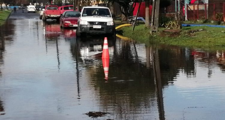 Soledad Fuentes (RBB)