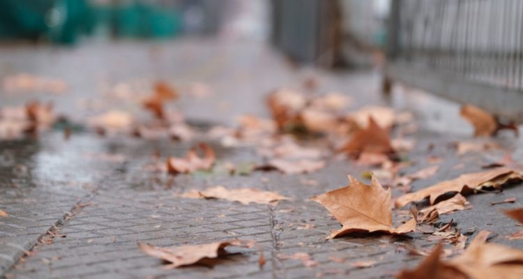 Daniel Araya | Agencia UNO