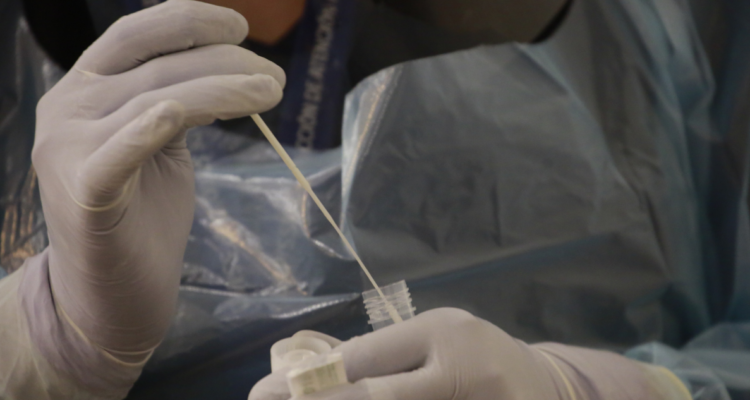 Reportan 29 casos de Delta en la región de Los Lagos