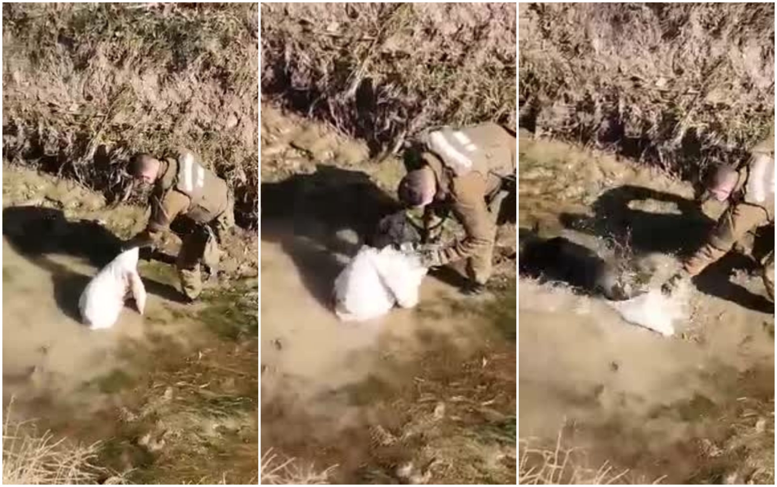 Capturas de video
