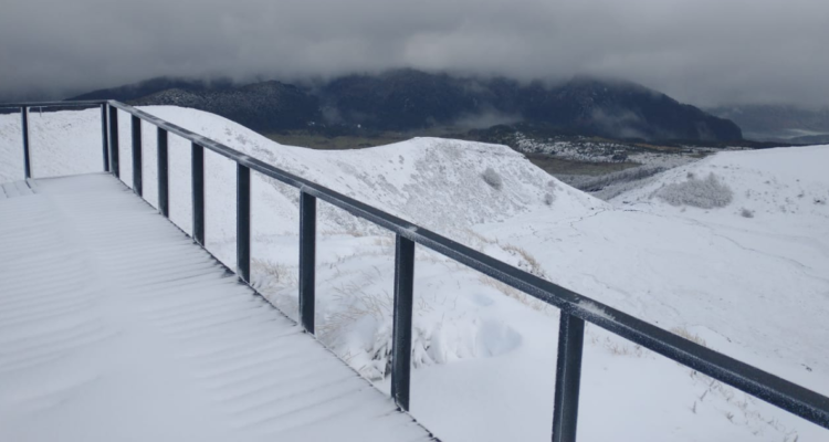 @DRConafLosRios | Twitter