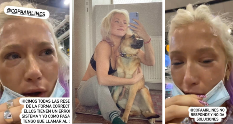 vesta-lugg-avion-mascota